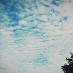 [EXO] 밑에애야 나도 사진