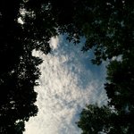 [EXO] 이거 <b>가을</b>에 찍은건데