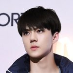 [EXO] 오세훈이 흑발하면 대충 이런느낌일까..??