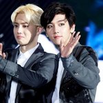 [EXO] 사담미안한데 이것만알려주면바로투표할게