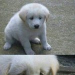 [EXO] 너네들 <b>수염</b>어떻게 해?