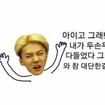 [EXO] 팬싸응모권사는거부터가 2만원ㅅㅂ