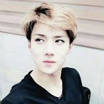 [EXO] 애들 트위터 어디간거까지 떴어?.