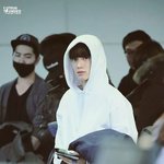 [exo] 근데네이처ㅋㅋㅋㅋㅋㅋㅋㅋㅋㅋ