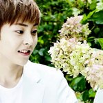 [EXO] 난굿즈중에서는