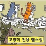 [충동맘] 고양이 <b>전용</b> 헬스장이 있다고???