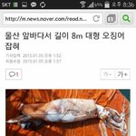 우리들의 <b>보스</b>가 잡혔어