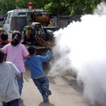 [추억파리여] 추억냄새 가득한 사진들