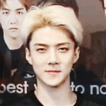 [EXO] 근데 세훈이가 <b>삼백</b>안맞나?