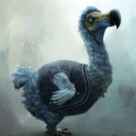 [추억파리여] 세상에서 사라진 멸종 동물들