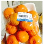 마트 떨이 귤에 완전 씐났습니다 (<b>feat</b>. 하늘다람쥐)