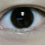 [댓글부탁] 눈평가좀해주세요!(<b>사진o</b>)