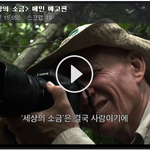 [영화인물] 서태지, 사이즈가 다른 나무심기! 브라질에 숲을 만든다...