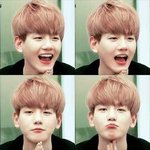 [백현] 귀여움의 <b>절정</b>