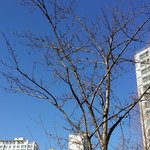 면접 대화<b>멘트</b>