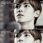 [TY] 태용이는 사람이 맞을까?