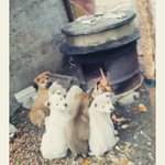 [<b>충동</b>맘]  뭘봐~? 불 쬐는거 처음봐??