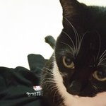 [EXO] 쌍수앞틤 <b>실밥</b>ㅂ풀로간다