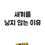 나이든 사람들 요즘 젊은이들..