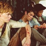 [메이즈<b>러너</b>] 여기 메이즈<b>러너</b> 팬있음..?