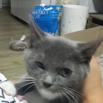 [<b>리오</b>] <b>리오</b>