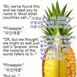 [EXO] 원래파인애플이름파인애플아님
