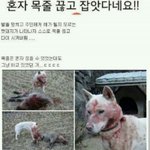 [EXO] 헐 이거 봤냐