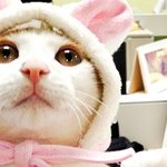 [EXO] 보이런던 예쁜데ㅜㅜ
