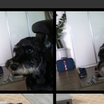 [EXO] 애들아 진짜 나 울것같아