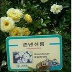 [EXO] 비둘기나만싫어함?