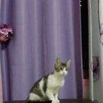 [쁘니단비] 쁘니 <b>단비</b>의 소소한 일상^^