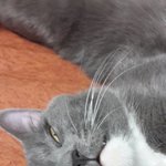 [<b>리오</b>] <b>리오</b>3