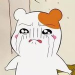 [EXO] 아 우리 제발ㅠㅠㅠㅠㅠㅠ