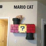 고양이를 위한 <b>캣타워</b> 놀이터