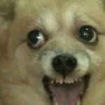 [EXO] 내동생이지금공기계로