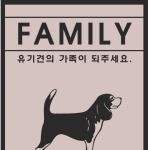 [강아지] 애완견 <b>사지</b>말고 입양해주세요~~