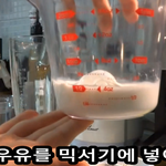 인간<b>사료</b>! 누네띠네로 스타벅스 프라푸치노 만들기