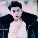 [EXO] 야 왜 한애들은 리트윗또안해줘???