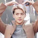 [뉴트] 왕온니 탬코베루 잘지냄?ㅎㅎ