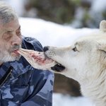 [추억파리여] <b>늑대들</b>과 살았던 사나이