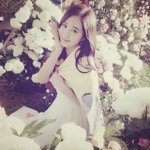 혹시 이연예인들 닮았나요???