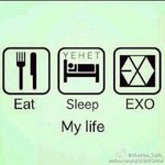 [EXO] 얘들아골디끝나고