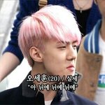 [EXO] 찡찡거릴시간에 투표나<b>하라</b>그래