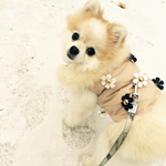 [EXO] 니들하니알아?? <b>exid</b>말고