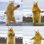 [카이] 누가 니<b>니고</b> 누가 곰인걸깡><