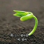 [방탄소년단] 작작해라 개초딩아