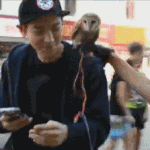 [EXO] <b>올빼미</b>한테 이어폰 뺏긴 찬녈이ㅋㅋㅋ