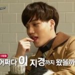 [EXO] 이모년 계란<b>뇌</b> 그래서 생각없는거임