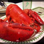 [내가한요리] [침샘주의] 신혼부부 공돌이의 요리 이야기 #2