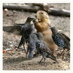 [충동맘] <b>한입</b>만 <b>한입</b>만